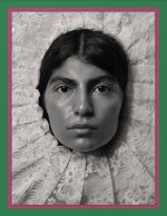 Pieter Henket: Birds of Mexico City