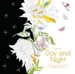 Day & Night