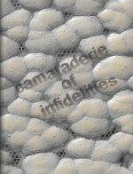 Camaraderie of Infidelities