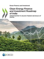 Clean Energy Finance and Investment Roadmap of India