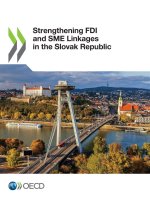 Strengthening FDI and SME Linkages in the Slovak Republic