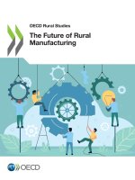 The Future of Rural Manufacturing