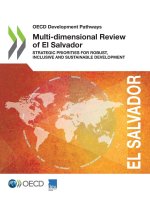 Multi-dimensional Review of El Salvador