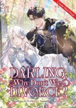 Darling, Why Don't We Divorce? Volume 1 Limited