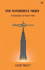 One Wonderful Night A Romance Of New York