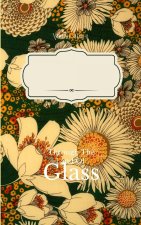 Through the Land of Glass An ode to unfinished thoughts lost to wondering