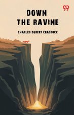 Down The Ravine