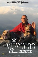 VIJAYA 33