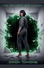 The Off-Grid Simulation
