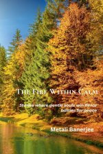The Fire Within Calm