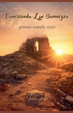 Cunoscându-L pe Dumnezeu printre ruinele vie¿ii
