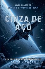 Cinza de Aço