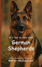 It's Time to Learn about German Shepherds