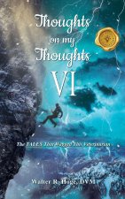Thoughts on my Thoughts VI