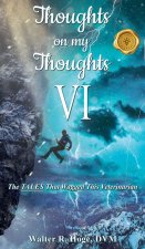 Thoughts on my Thoughts VI