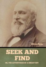 Seek and Find; or, The Adventures of a Smart Boy