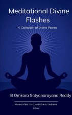 Meditational Divine Flashes.