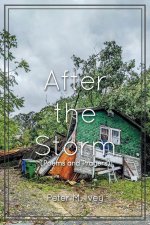 After the Storm