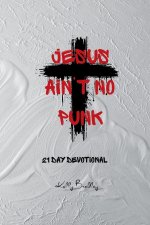 Jesus Ain't No Punk