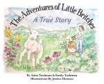 The Adventures of Little Britches