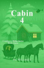 Cabin 4