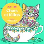 Chats et félins