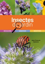Les insectes du jardin