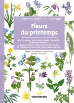 Fleurs du printemps