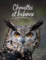 Chouettes et hiboux