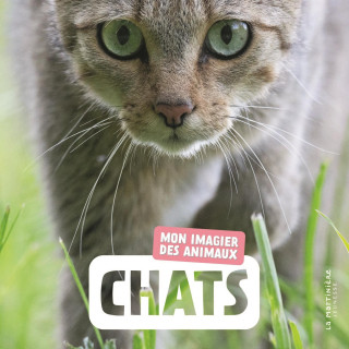 Chats