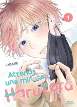 Attends une minute, Harutora