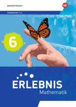 Erlebnis Mathematik - Allgemeine Ausgabe 2023