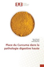 Place du Curcuma dans la pathologie digestive haute