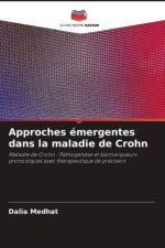 Approches émergentes dans la maladie de Crohn