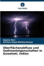 Oberflächenabfluss und Sedimenteigenschaften in Guwahati, Indien