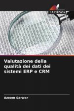 Valutazione della qualità dei dati dei sistemi ERP e CRM