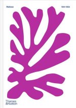 Colour Unbound: Henri Matisse 1941–1954