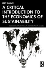 Critical Introduction to the Economics of Sustainability