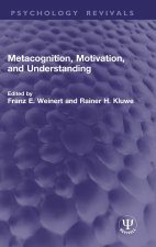 Metacognition, Motivation, and Understanding