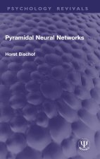 Pyramidal Neural Networks