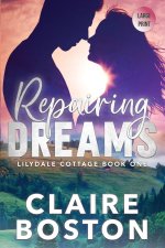 Repairing Dreams