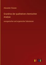 Grundriss der qualitativen chemischen Analyse