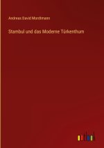 Stambul und das Moderne Türkenthum