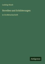 Novellen und Schilderungen