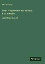 Mein Weggenosse und andere Erzählungen