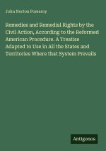 Remedies and Remedial Rights by the Civil Action, According to the Reformed American Procedure. A Treatise Adapted to Use in All the States and Territ