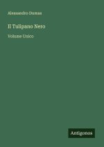 Il Tulipano Nero