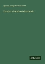 Estudo: A batalha de Riachuelo