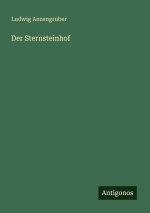 Der Sternsteinhof