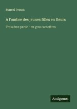 A l'ombre des jeunes filles en fleurs